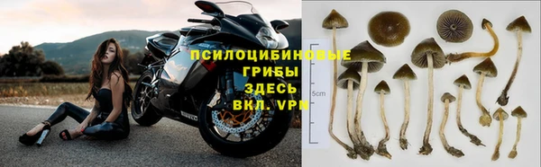 молекула духа Бабаево