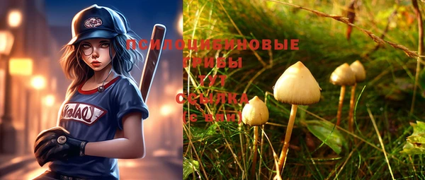 меф Фёдоровский