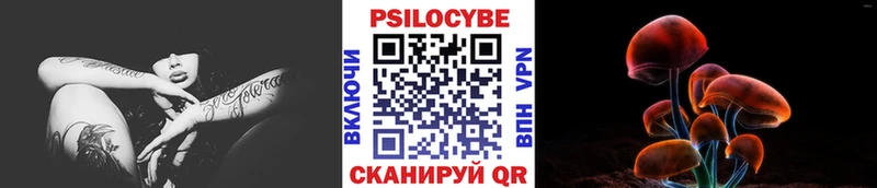 Галлюциногенные грибы прущие грибы где купить наркоту Мурманск