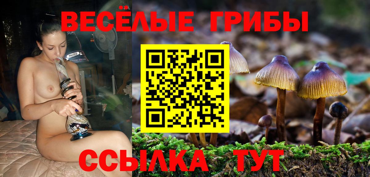 Галлюциногенные грибы Magic Shrooms Мурманск
