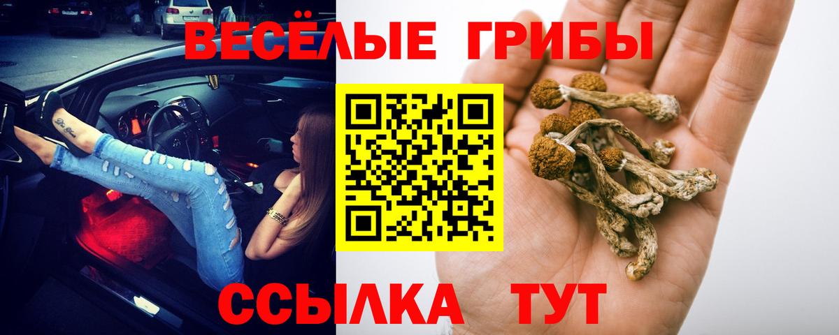 Мурманск  Галлюциногенные грибы GOLDEN TEACHER  Псилоцибиновые грибы ЛСД  Вход с VPN 
